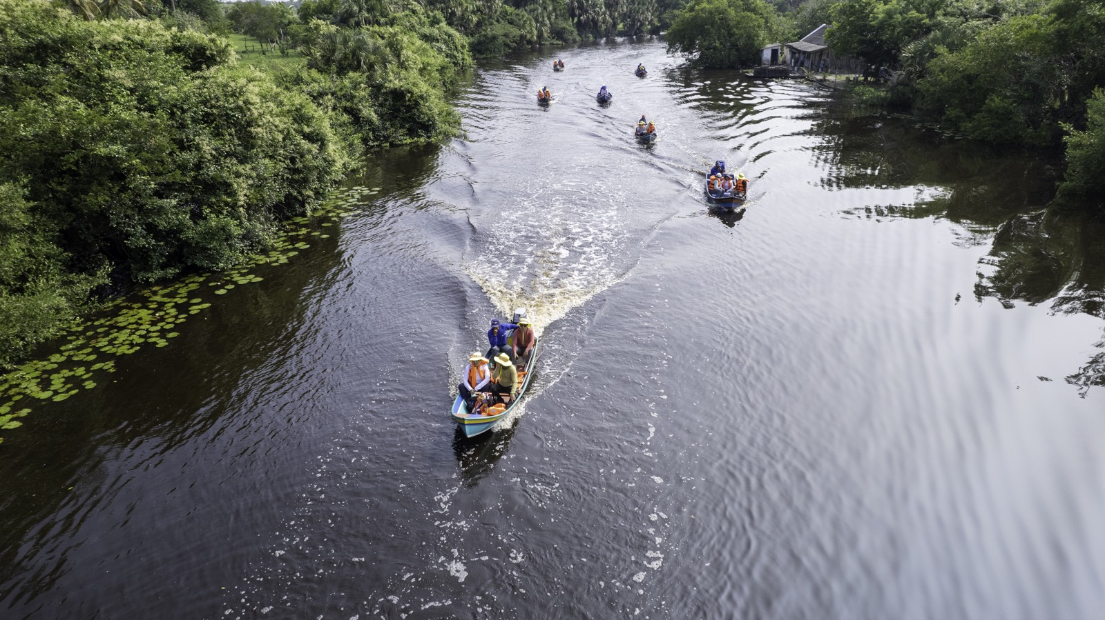 Drone view of mangrove channels, Marismas Nacionales